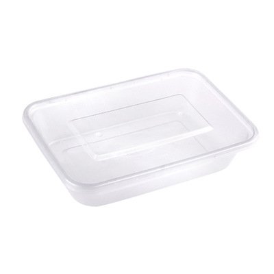 disposable lunch box